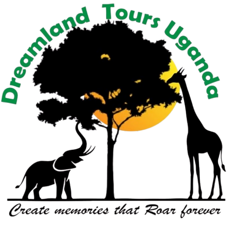 Dreamland Tours Uganda