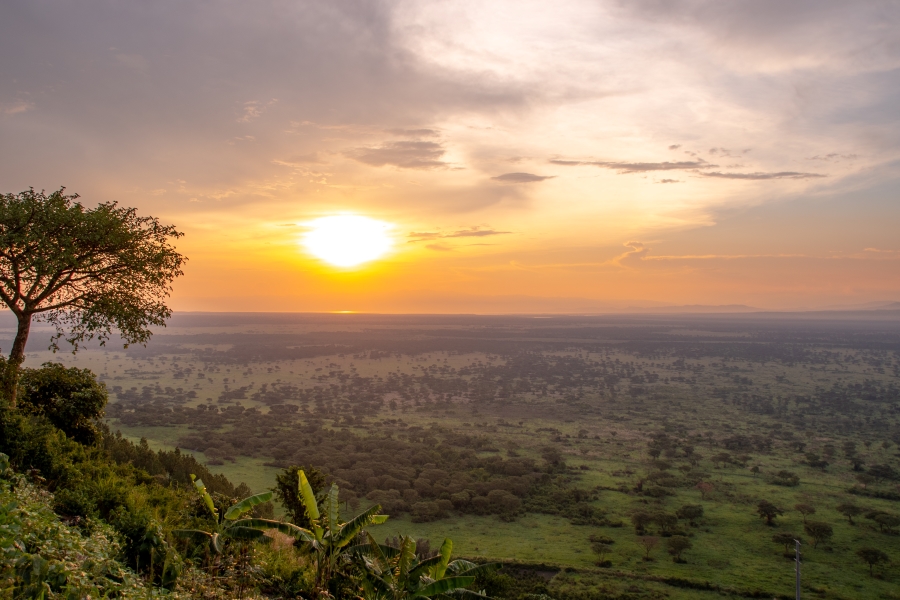Luxury African Safaris