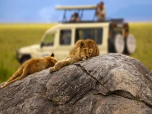 Murchison Falls Safari